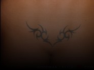 With an access you could watch this pictures