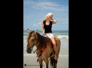 Undressed Caylian curtis