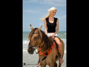 Very nice breast of Caylian curtis