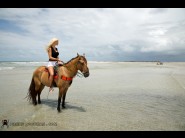 You can enjoy this HD Picture