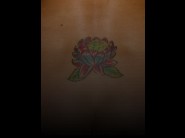 This photos is reserved to members