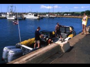 Very nice breast of Kristina