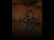 With an access you could watch this pictures