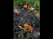 This picture is a very nice shooting