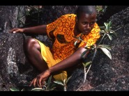 You can enjoy this HD Picture