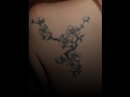 This pictures of a sexy girls is not available for free