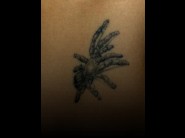 This photos of Erika loot is reserved to members