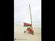 Undressed Roxy panther