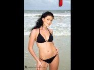 Roxy panther is so cute on this photos