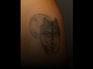 This pictures of a sexy girls is not available for free