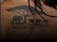 This pictures of a sexy girls is not available for free