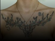 With an access you could watch this pictures