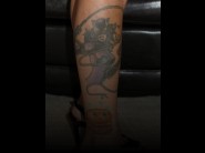 With an access you could watch this pictures