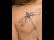 This picture is a very nice shooting