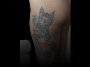 This photos of Luna melba is reserved to members