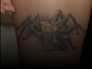 This photos of Giselle palmer is reserved to members