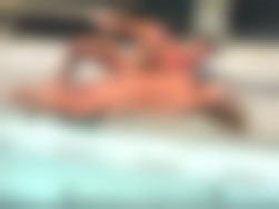 Manipulation   Scene 1