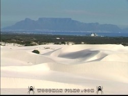 Manipulation   Full Movie