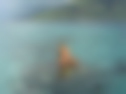 That'$ Life 2   Scene 3