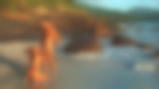 Tropical Illusions 1 - scene 3