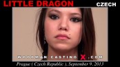 Little dragon