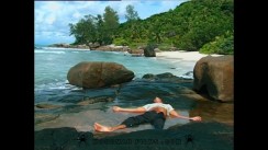 Tropical Illusions 2