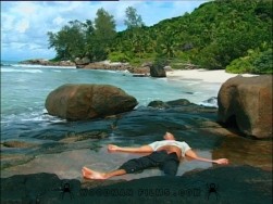 Tropical Illusions 2